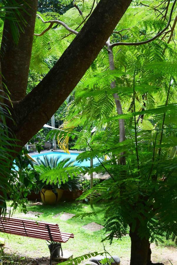 Ecolokay Daire La Trinité Dış mekan fotoğraf