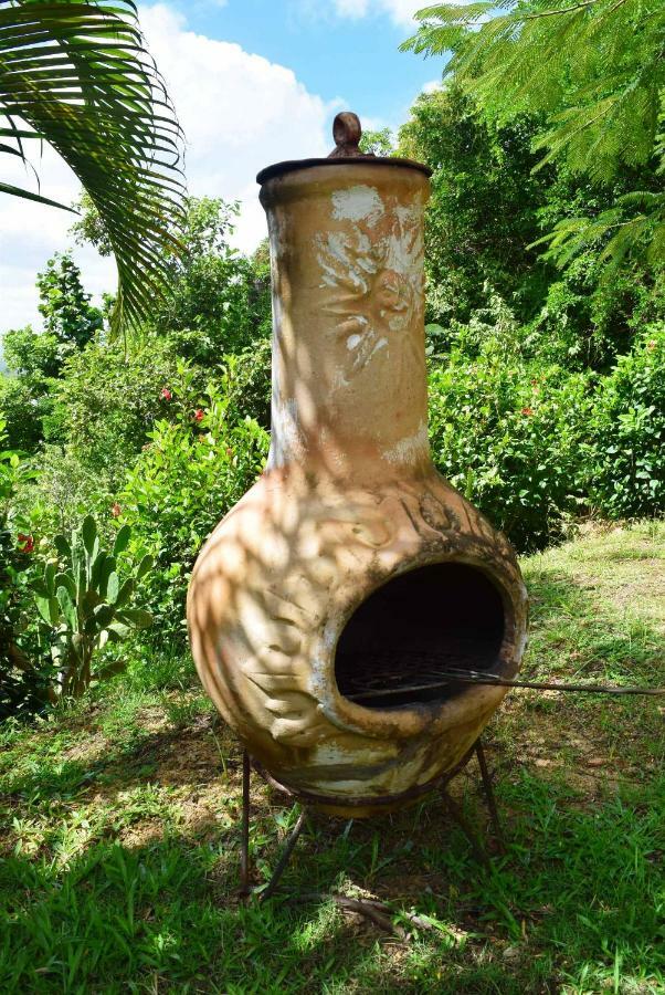 Ecolokay Daire La Trinité Dış mekan fotoğraf